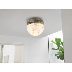 Transparent Wall Sconce/Ceiling Flush Mount