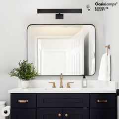 Brushed Radiance Picture Light 24"W#Color_Black,size_24"