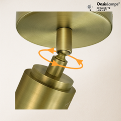 ArtGlow Adjustable Spot Downlight Wall Sconce#Color_Brass