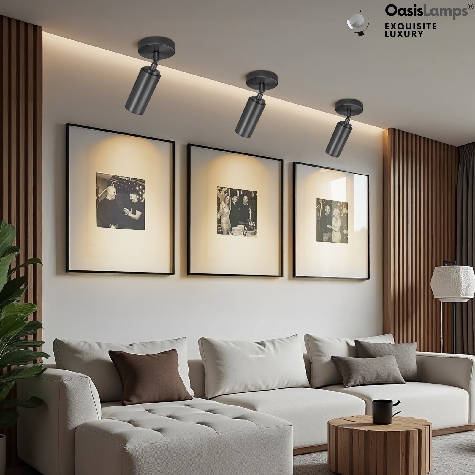 ArtGlow Adjustable Spot Downlight Wall Sconce#Color_Black