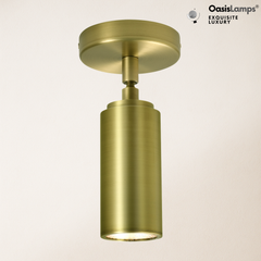 ArtGlow Adjustable Spot Downlight Wall Sconce#Color_Brass