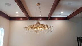 Lio Oval Branch Teardrop Chandelier