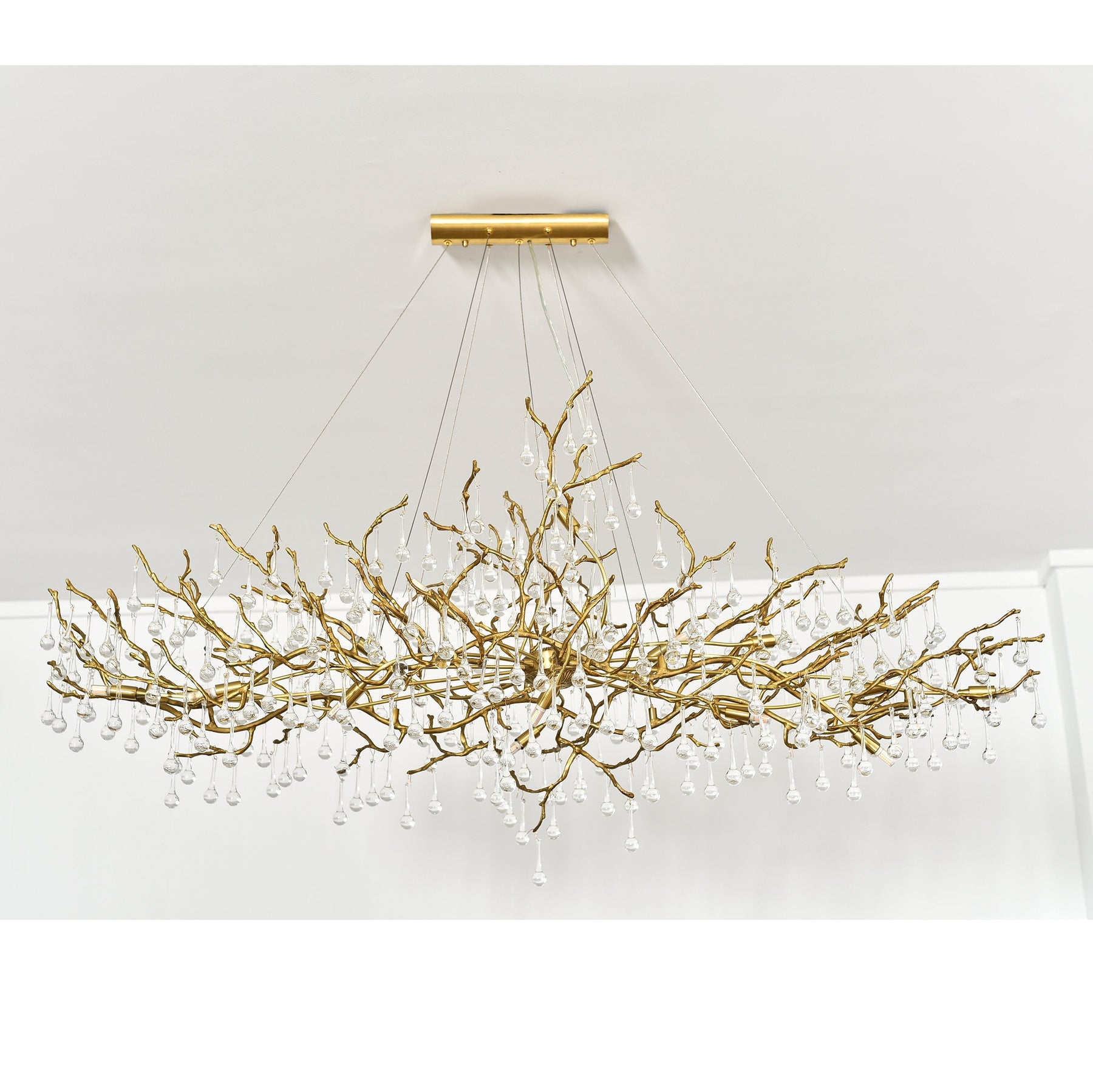 Lio Oval Branch Teardrop Chandelier