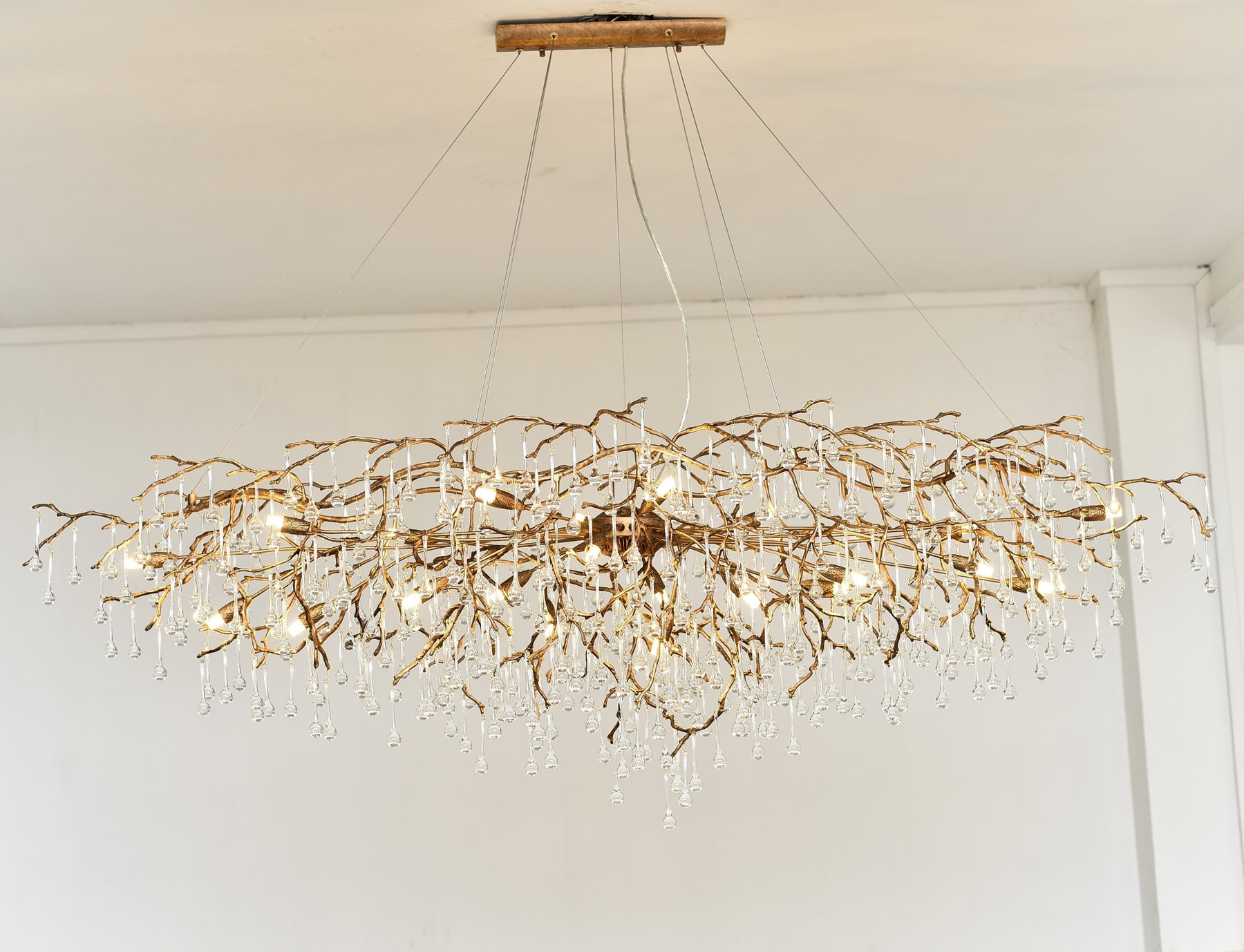 Lio Oval Branch Teardrop Chandelier