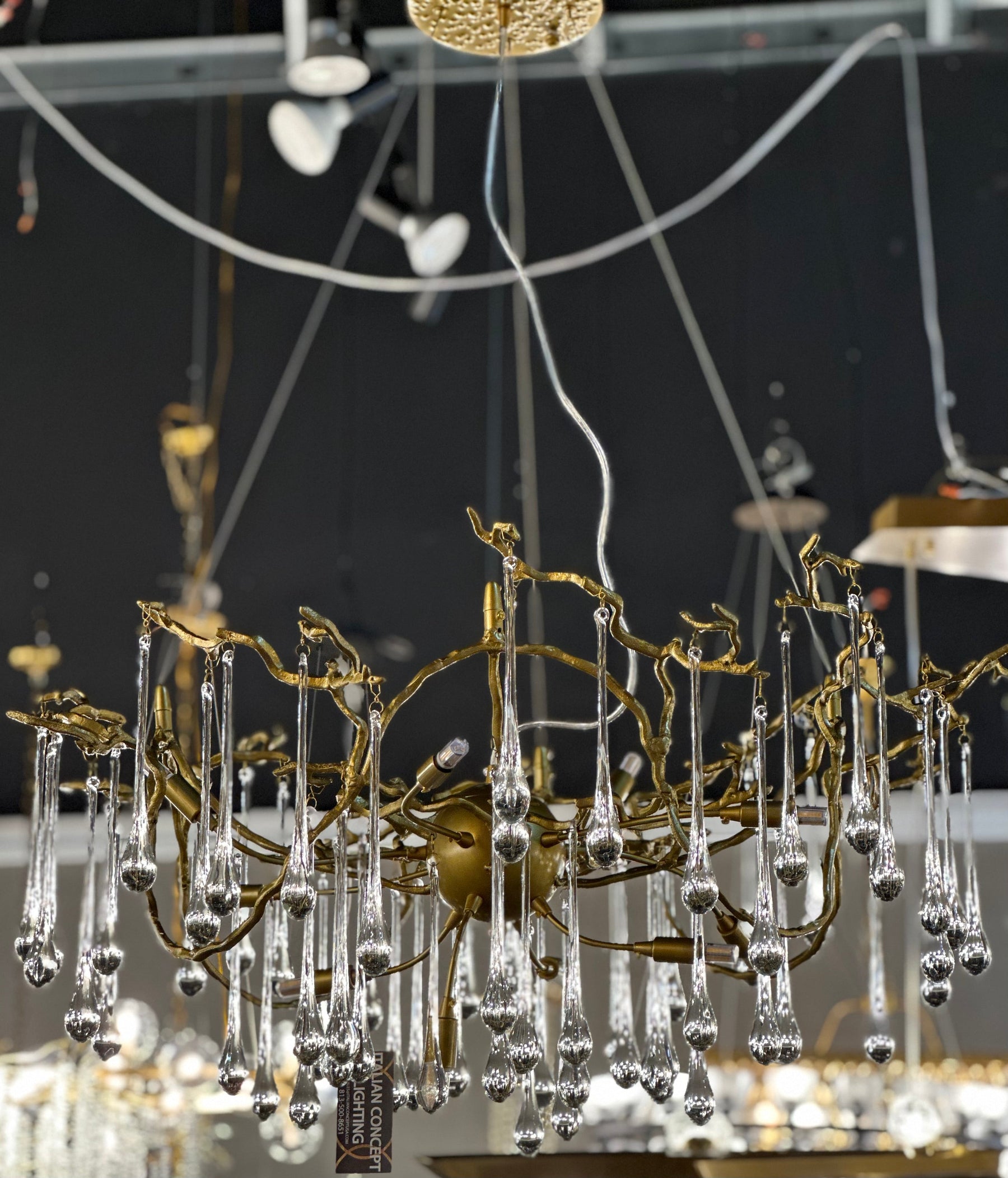 Lucio Teardrop Branch Brass Round Chandelier