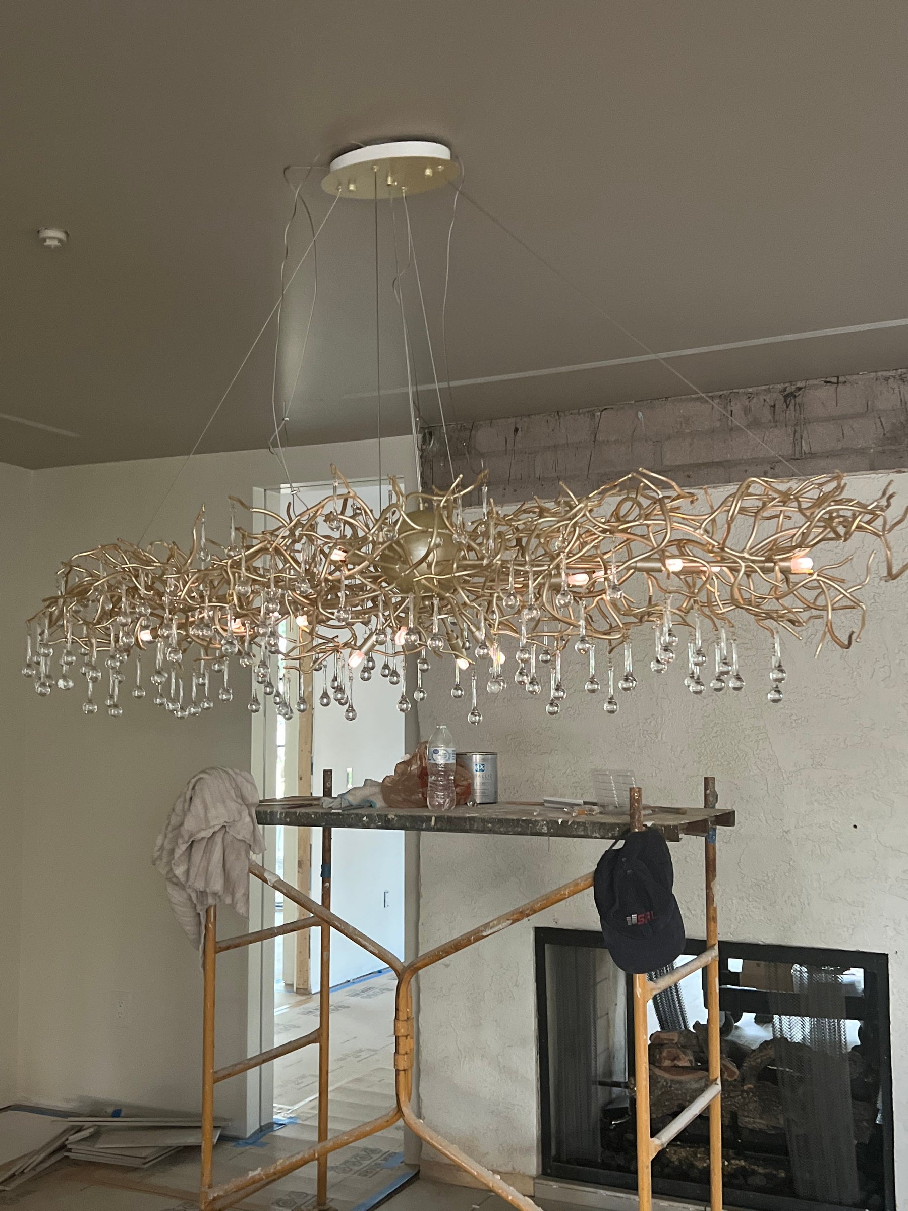 Lio Oval Branch Teardrop Chandelier